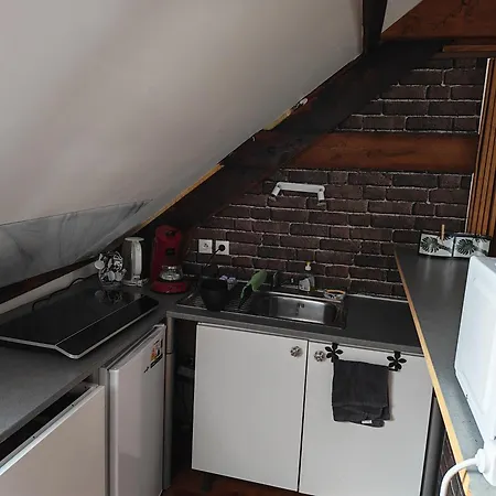 3 Sous Combles 아파트 브레뒨느